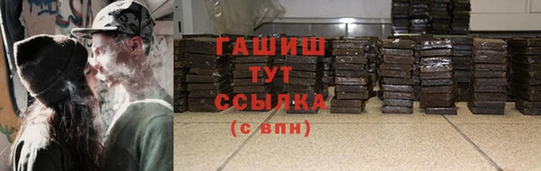 стаф Бородино