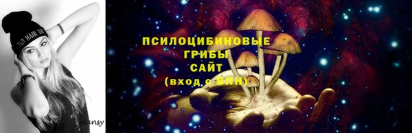 стаф Бородино