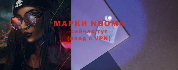 стаф Бородино