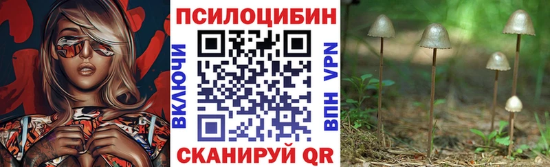 Купить  Миллерово  Галлюциногенные грибы Cubensis 